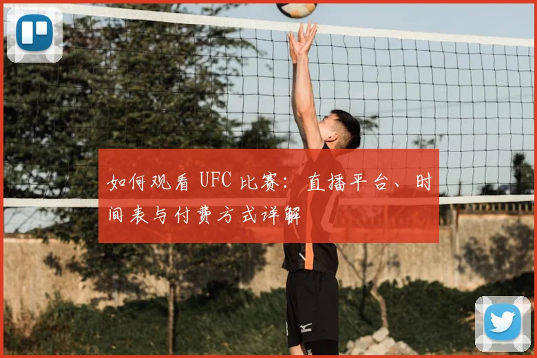 如何观看 UFC 比赛：直播平台、时间表与付费方式详解